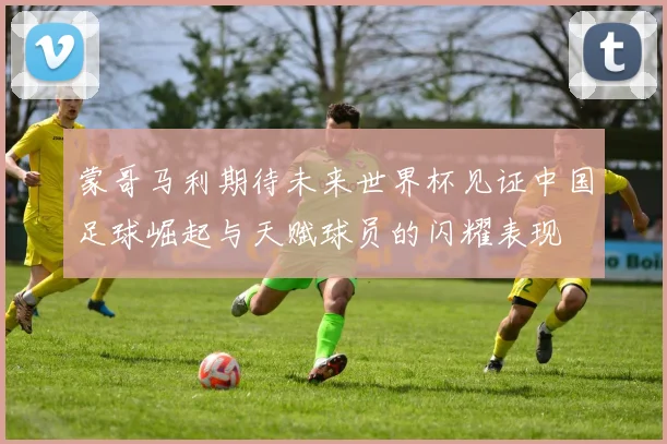 蒙哥马利期待未来世界杯见证中国足球崛起与天赋球员的闪耀表现