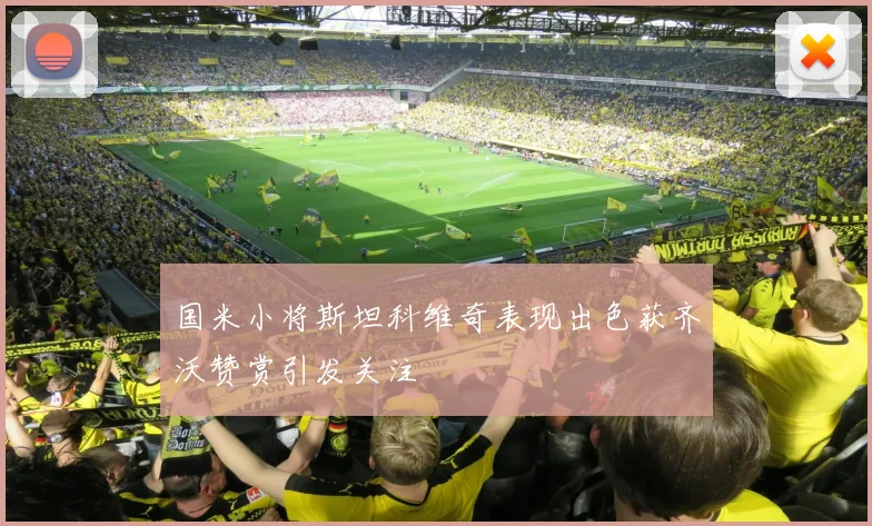 国米小将斯坦科维奇表现出色获齐沃赞赏引发关注