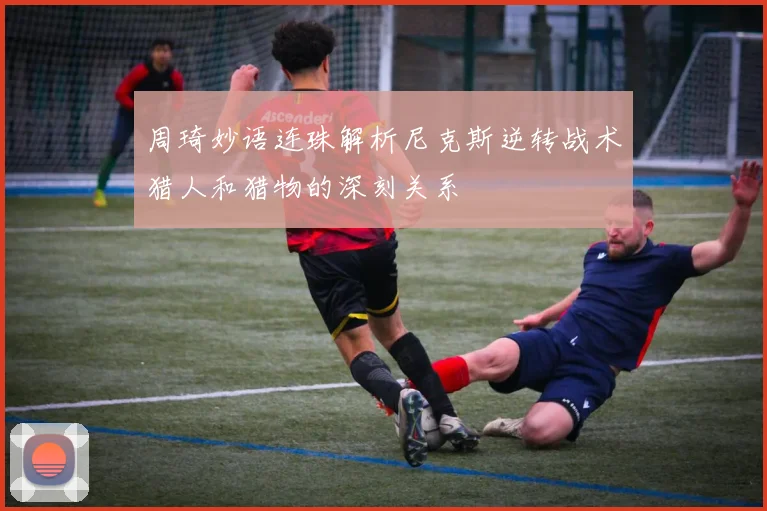 周琦妙语连珠解析尼克斯逆转战术猎人和猎物的深刻关系